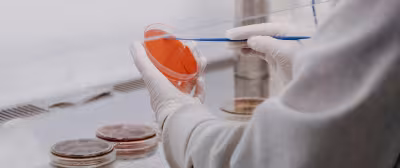 Working in the lab